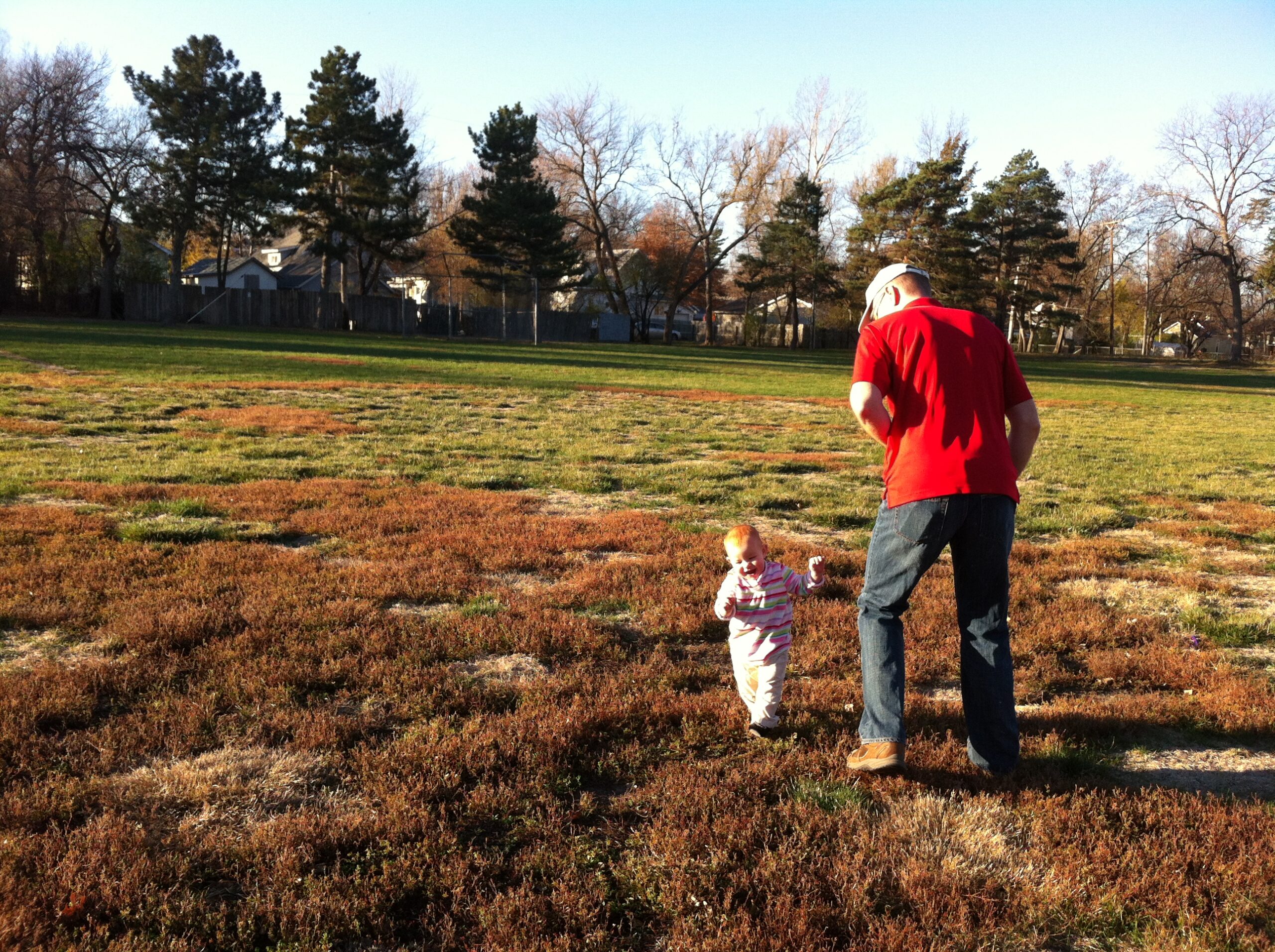 A small girl joyfully runs in a large park with her father.